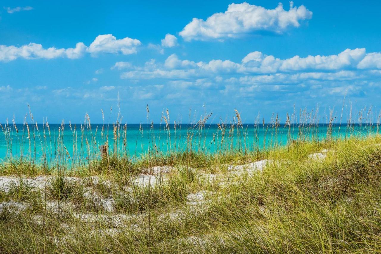 Calypso 2-807 West Leilighet Panama City Beach Eksteriør bilde